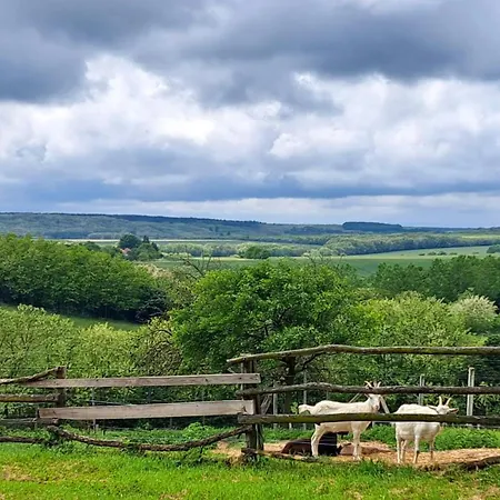 Gyuemoelcsliget Vendeghaz