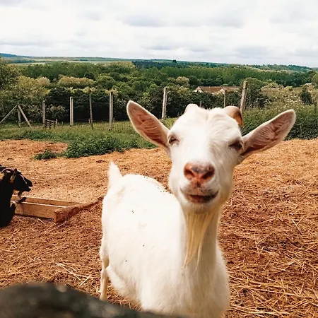 Gyuemoelcsliget Vendeghaz Guest house