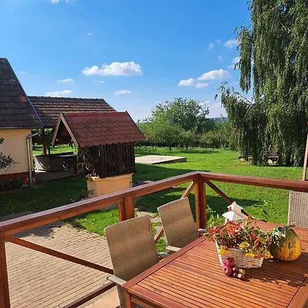 Gyuemoelcsliget Vendeghaz Guest house *